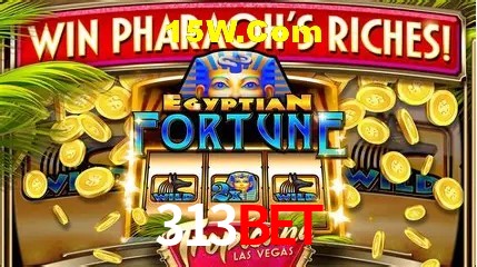 313Bet - Aplicativo Móvel